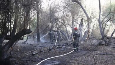 Photo of Fuego activo en El Bolsón: se perdieron 3.300 hectáreas de bosque