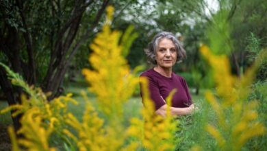 Photo of La cordobesa Sandra Díaz fue premiada con el «Nobel del Ambiente»