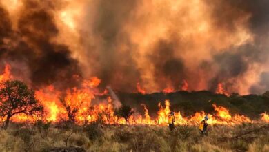 Photo of Diputados tratará un proyecto para agravar las penas a quienes provoquen incendios