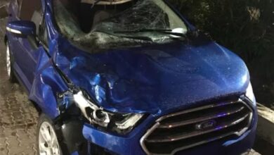 Photo of Otro siniestro en rutas de Córdoba: una mujer falleció al impactar su auto contra un caballo