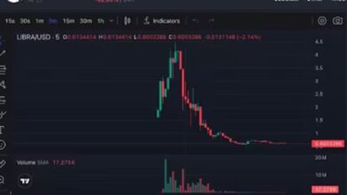 Photo of Acciones y bonos se hunden luego del escándalo $LIBRA