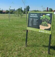 Photo of VILLA MARÍA SUMA VERDE: MÁS DE 3.700 ÁRBOLES Y 7 BOSQUES URBANOS EN 2024