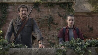 Photo of Todo lo que necesitas saber sobre la segunda temporada de «The Last of Us»