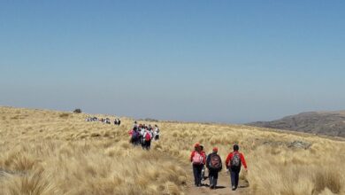 Photo of Turismo en Parques Nacionales, la nueva desregulación de Javier Milei: qué implica