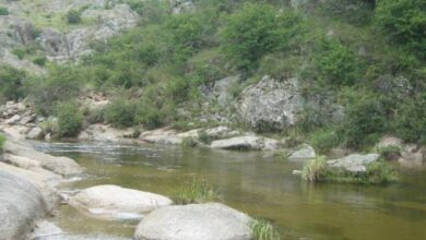 Photo of La Cumbrecita: investigan posible contaminación ambiental