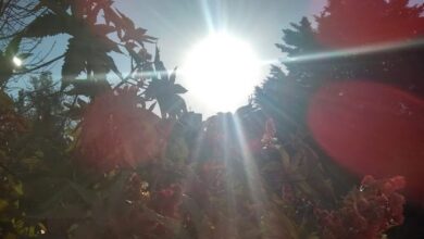 Photo of Pronóstico: Córdoba sigue ofreciendo días con más de 30 grados