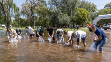 Photo of Iniciativa medioambiental en Córdoba: siembran pejerreyes en el embalse de Río Tercero