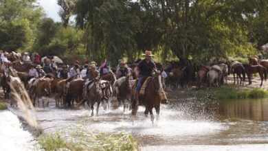 Photo of Finalizó la Peregrinación Brocheriana con una convocatoria multitudinaria