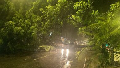 Photo of Lluvia intensa en Córdoba: en medio del diluvio, un árbol cayó sobre un auto