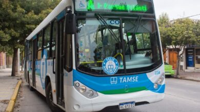 Photo of TAMSE confirmó que suspenderá el servicio de trolebuses y será cubierto por colectivos