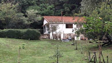 Photo of Otro femicidio: quién era Verónica, la mujer asesinada por su ex pareja en La Granja