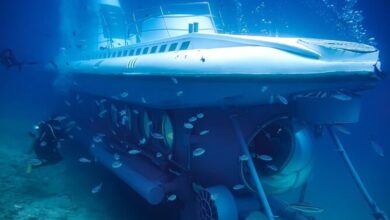 Photo of Se hundió un submarino con 45 turistas a bordo en el mar Rojo: al menos seis muertos