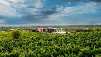 Photo of Entre vinos, la fusión perfecta entre el turismo y la gastronomía en Córdoba