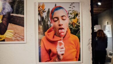 Photo of SELVA: un encuentro de creatividad y biodiversidad artística