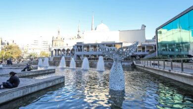 Photo of Cultura en Córdoba: exposiciones y proyecciones para disfrutar