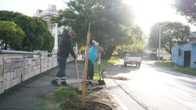 Photo of Córdoba: operativo de más de 130 cuadrillas para limpieza, bacheo, poda, reparación de luminarias y recuperación de calles de tierra