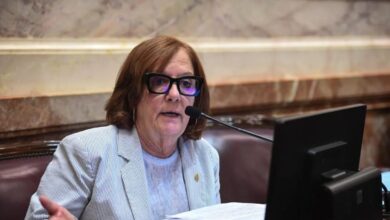 Photo of Alejandra Vigo pidió que se apruebe el proyecto de Ficha Limpia sin cambios