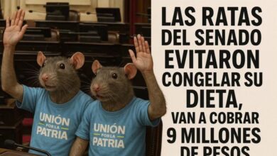 Photo of Los senadores comenzarán a cobrar más de 9 millones de pesos