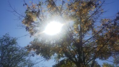 Photo of El tiempo: anuncian viento norte y días de ameno otoño en Córdoba