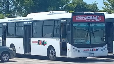 Photo of Transporte urbano: UTA interrumpe el servicio de tres líneas en Córdoba