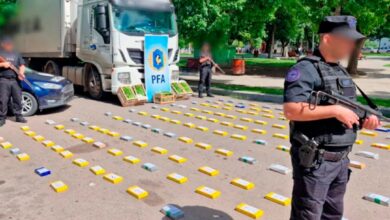 Photo of Transportaba más de 150 kilos de cocaína ocultos en bananas: quedó detenido