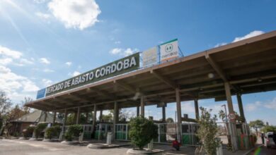 Photo of Esta semana se realizarán jornadas de salud en el Mercado de Abasto