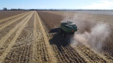 Photo of Presión por la suba de retenciones de Javier Milei: las respuestas del campo