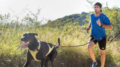Photo of Una nueva en Córdoba: se viene la primera maratón con perros en el Parque Sarmiento