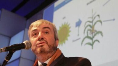 Photo of Conflicto con el campo: «El productor se sienta sobre la soja para pagar alquileres»