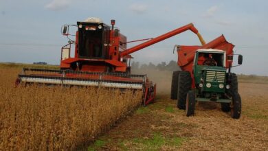 Photo of Los fabricantes de máquinas agrícolas se oponen a la importación de equipos usados