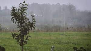 Photo of CERRÓ MARZO CON LLUVIAS EN LAS VARILLAS Y LA REGIÓN