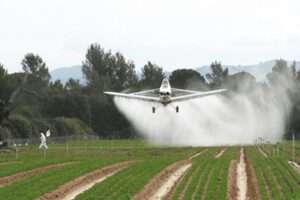 Photo of Bayer deberá pagar USD 2.100 millones por el uso de glifosato