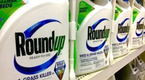 Photo of Bayer enfrenta un juicio en Francia por malformaciones a causa del glifosato