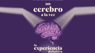 Photo of Una experiencia para aprender desde dentro del cerebro
