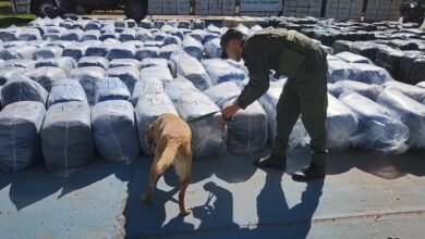 Photo of Millonaria incautación: circulaba en Córdoba con más de 6 toneladas de hojas de coca