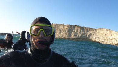 Photo of Aventura en Puerto Madryn: hacer snorkelling con lobos marinos