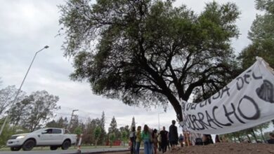 Photo of El Intendente de Villa Allende avanza con la remoción del histórico quebracho