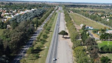 Photo of Quebracho histórico: presentan un proyecto para declararlo monumento natural
