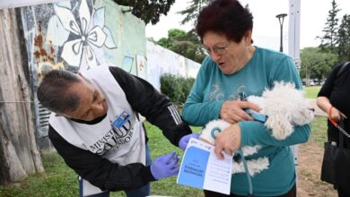 Photo of Para mascotas de Córdoba: se cierra la campaña gratuita de vacunación y desparasitación