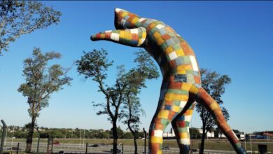 Photo of El sol, de regreso: cómo se presenta el fin de semana en Córdoba