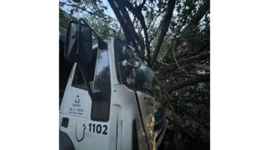 Photo of Córdoba: un camión de recolección de residuos tumbó una mora contra un inmueble