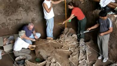 Photo of Identificar los restos de las víctimas de delitos de lesa humanidad