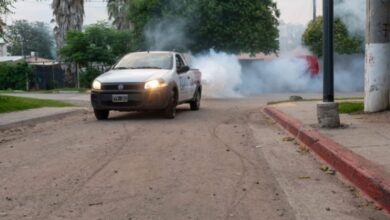 Photo of Bajaron los casos de dengue en Córdoba