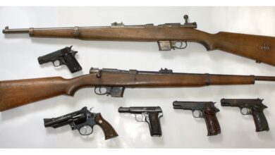 Photo of El Gobierno agilizó el trámite para obtener de forma exprés el permiso para portar armas