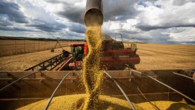 Photo of El Gobierno de Córdoba cuestionó a Javier Milei por la suba de retenciones al agro