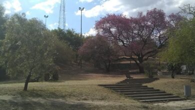 Photo of El camino al invierno: cómo sigue el tiempo estos días en Córdoba