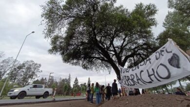 Photo of Finalmente, y pese a la resistencia, el quebracho de Villa Allende es removido