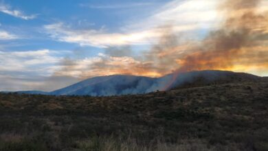 Photo of Bomberos combaten un incendio forestal en La Calera