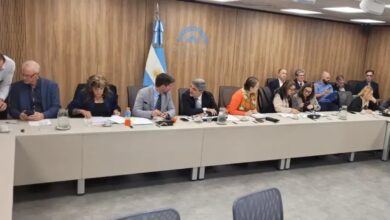 Photo of Diputados: hubo dictamen para declarar la emergencia del Hospital Garrahan
