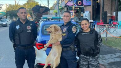 Photo of Recuperan a una Golden robada: el emotivo reencuentro con su dueño